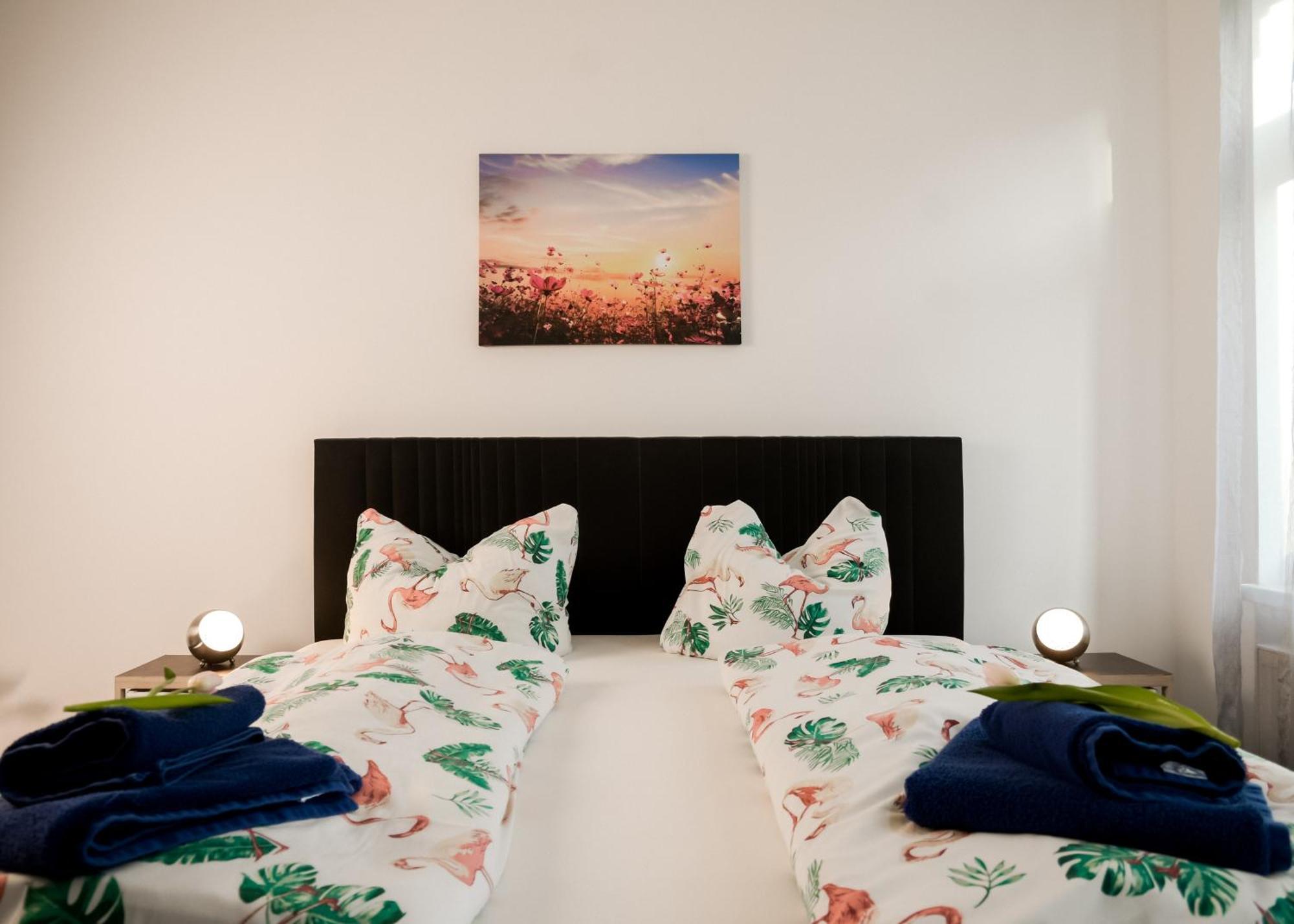 Apartmenthaus Sternstrasse دريسدن المظهر الخارجي الصورة